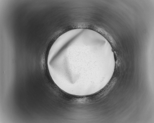 X0000100910306200807220956