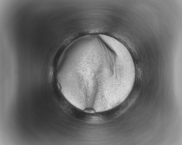 X0000100910308200807220956