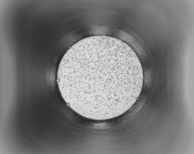 X0000100910309200807220956