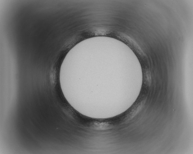 X0000100910311200807220956