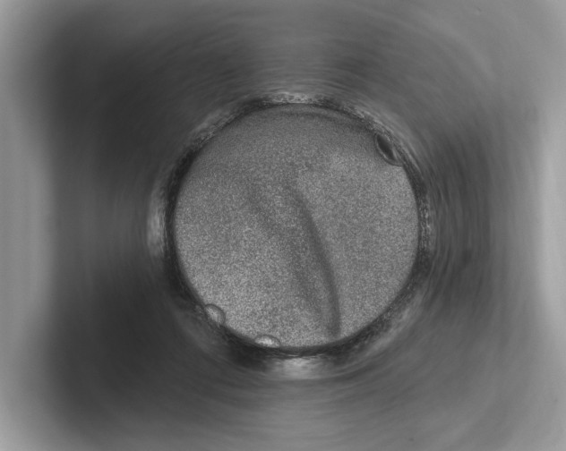 X0000100910312200807220956