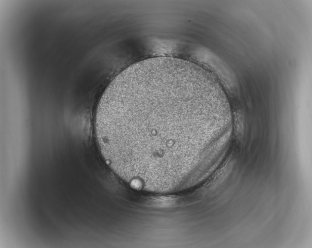 X0000100910313200807220956
