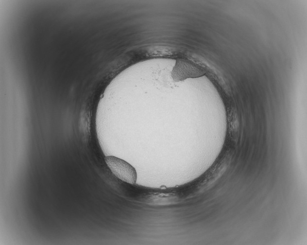 X0000100910315200807220956