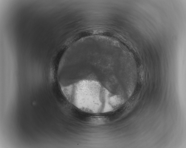 X0000100910316200807220956
