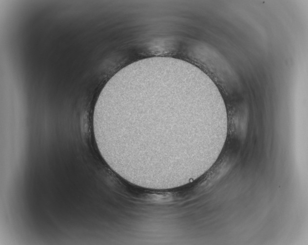 X0000100910317200807220956
