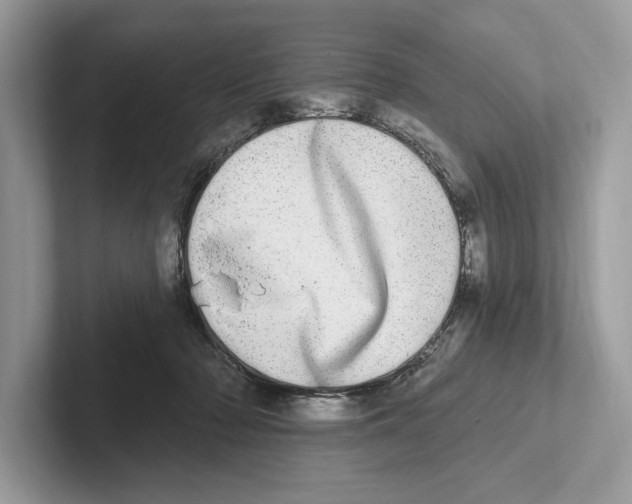 X0000100910318200807220956