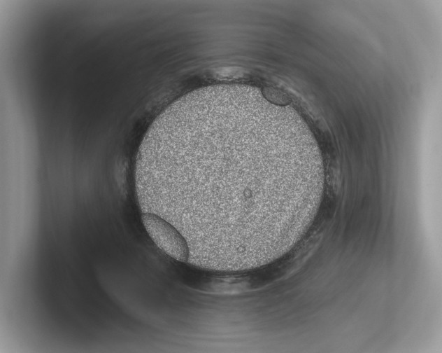X0000100910319200807220956