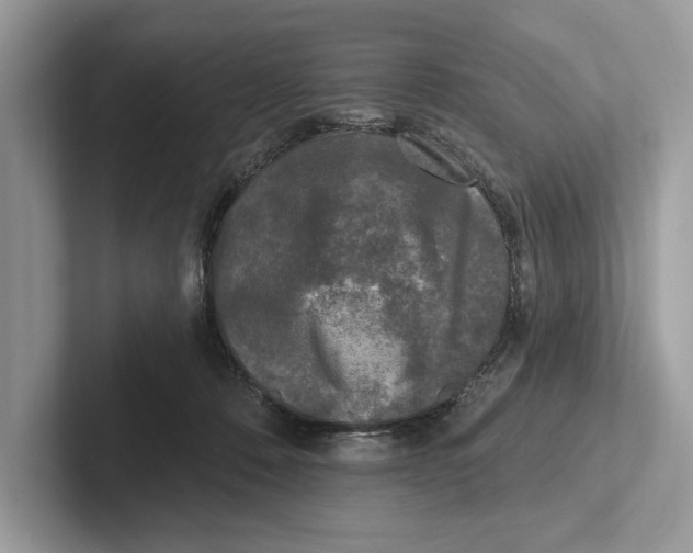 X0000100910320200807220956