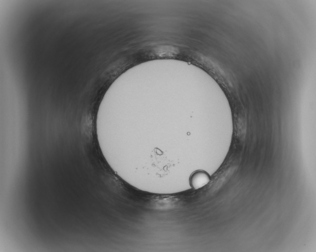 X0000100910321200807220956