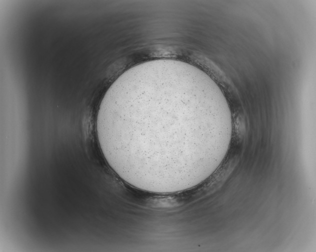 X0000100910322200807220956