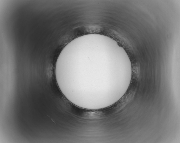 X0000100910323200807220956