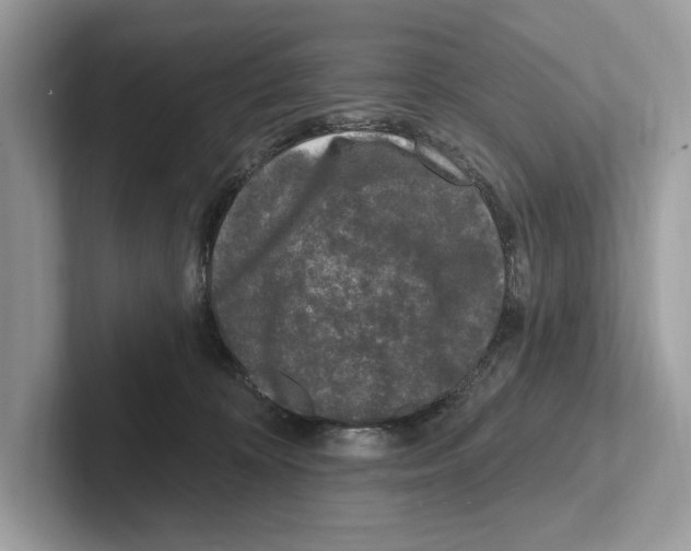 X0000100910324200807220956