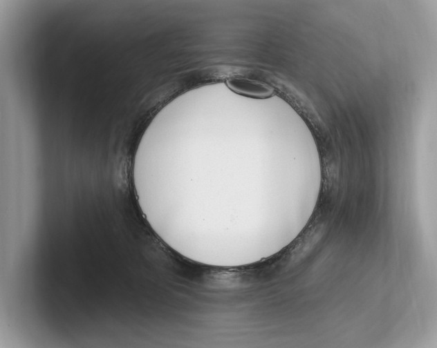 X0000100910325200807220956