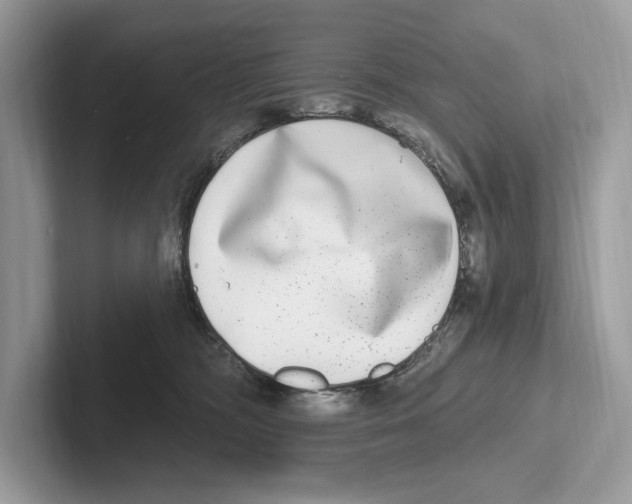 X0000100910326200807220956