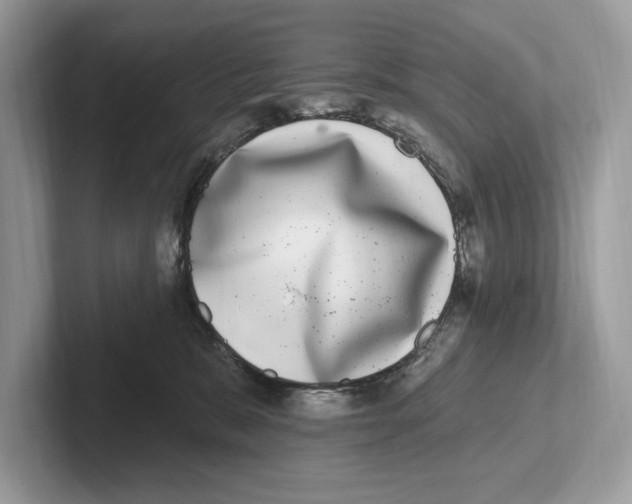 X0000100910327200807220956