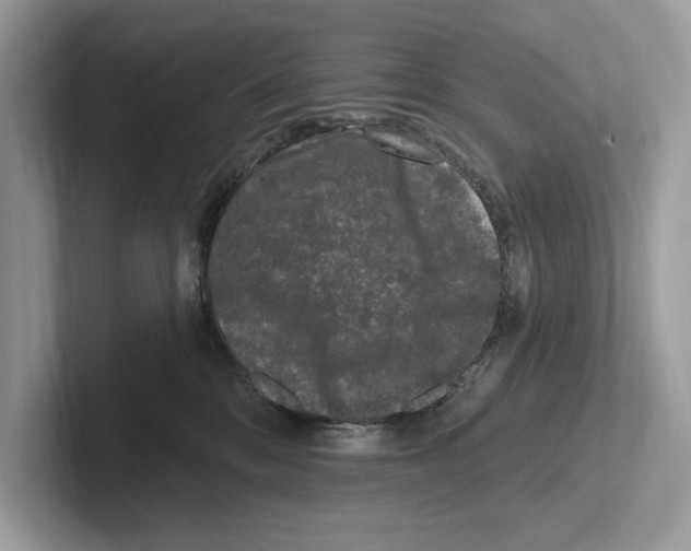 X0000100910328200807220956