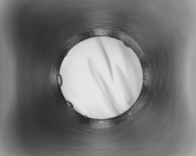 X0000100910329200807220956