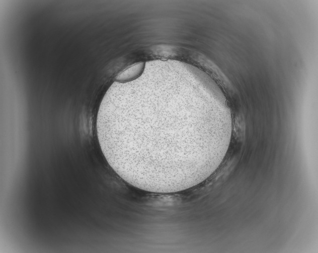 X0000100910330200807220956