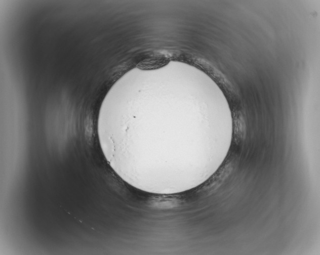 X0000100910331200807220956