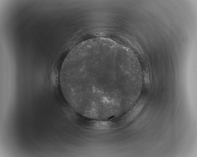 X0000100910332200807220956