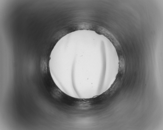 X0000100910333200807220956