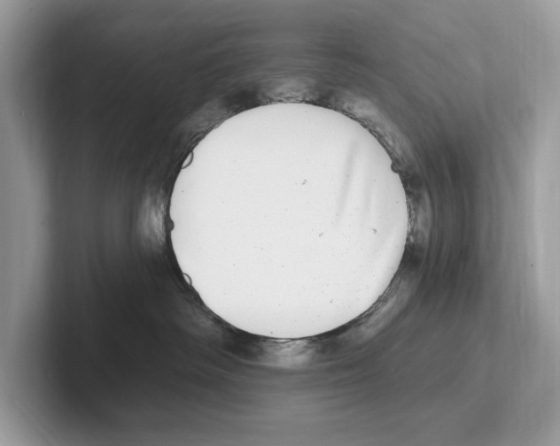 X0000100910334200807220956