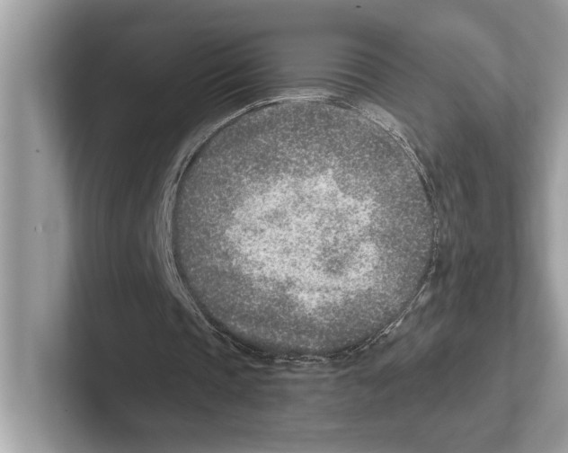 X0000100910337200807220955