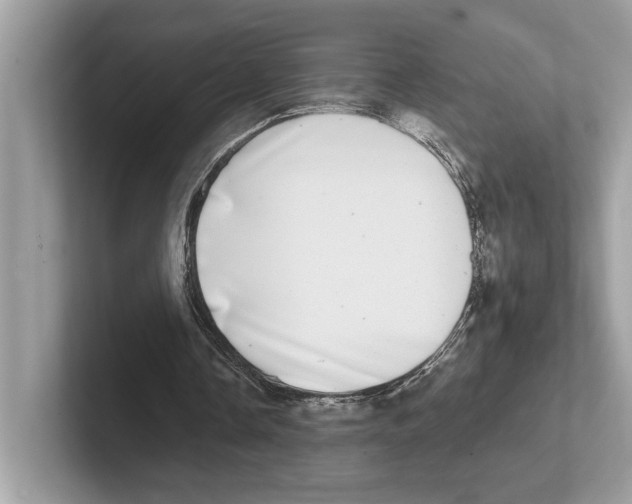 X0000100910338200807220955