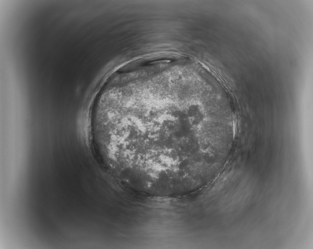 X0000100910339200807220955