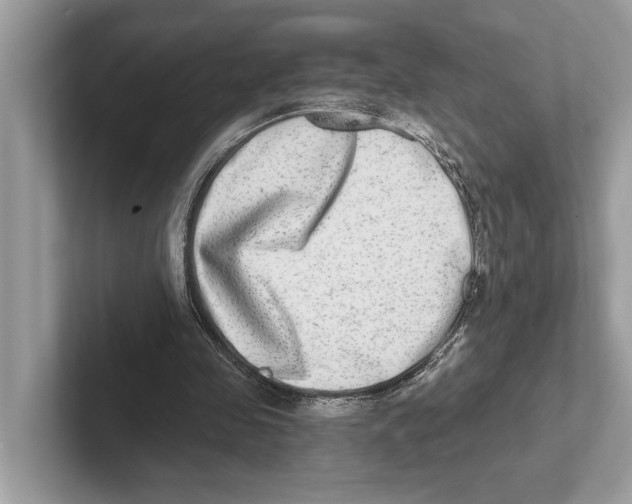 X0000100910341200807220955
