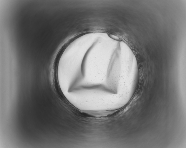 X0000100910342200807220955