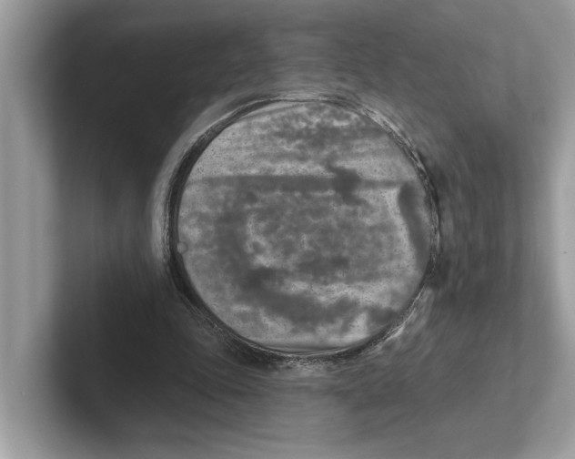 X0000100910343200807220955