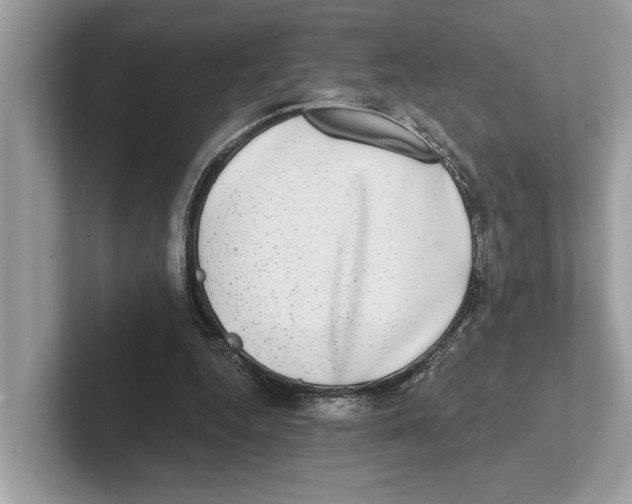 X0000100910344200807220955