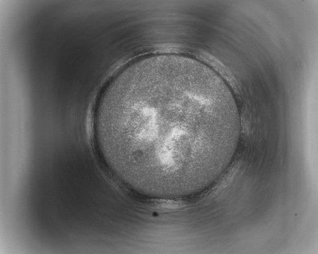 X0000100910347200807220955