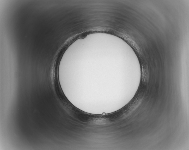 X0000100910348200807220955