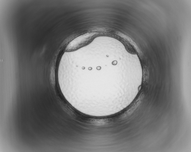 X0000100910349200807220955