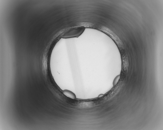 X0000100910350200807220955