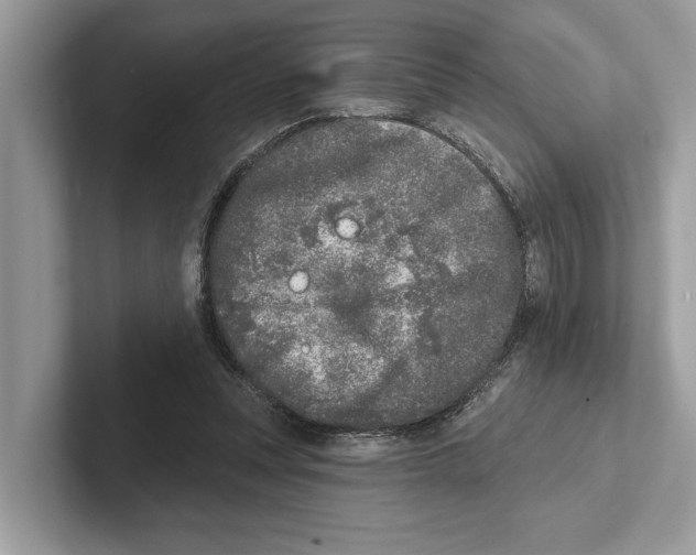 X0000100910351200807220955