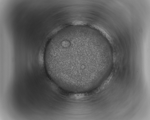 X0000100910353200807220955
