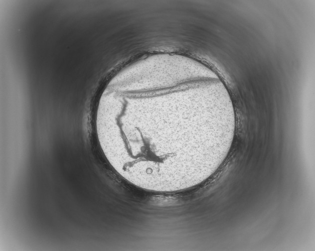 X0000100910354200807220955