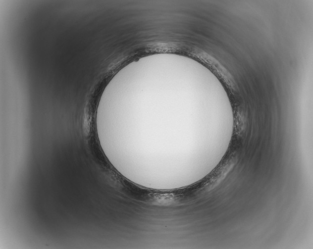 X0000100910355200807220955