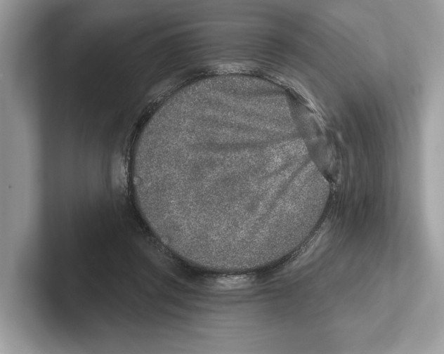 X0000100910357200807220955