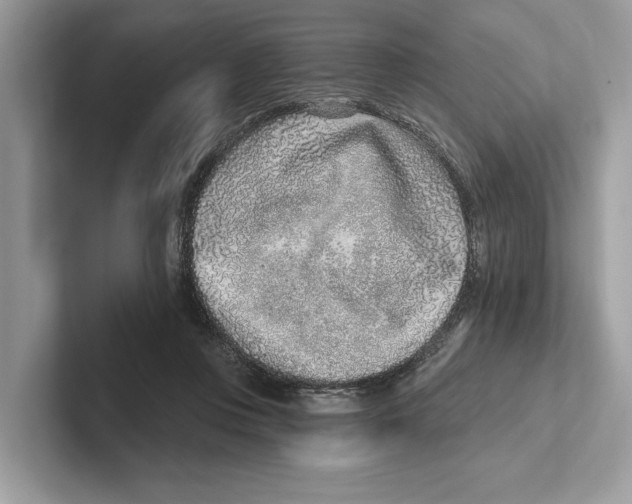X0000100910359200807220955