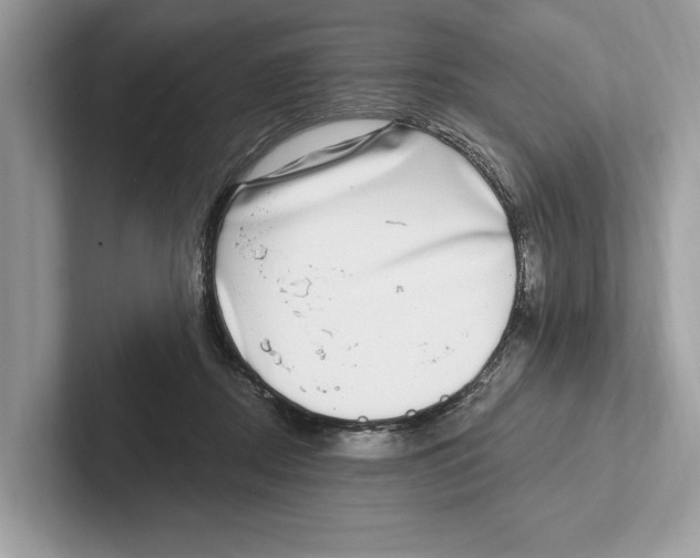 X0000100910362200807220955