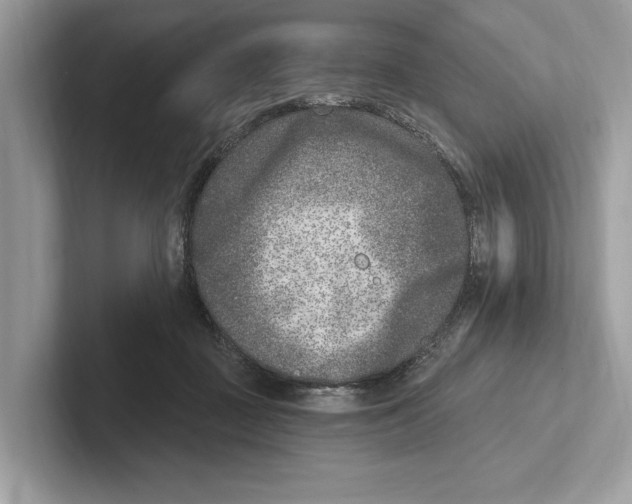 X0000100910363200807220955