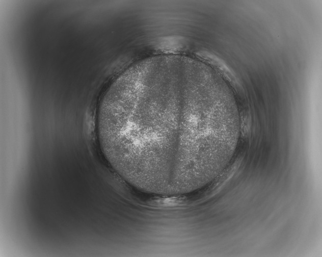 X0000100910365200807220955