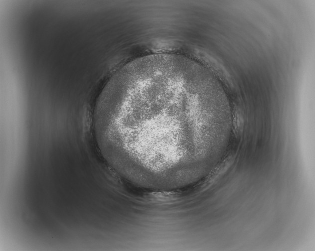 X0000100910367200807220955