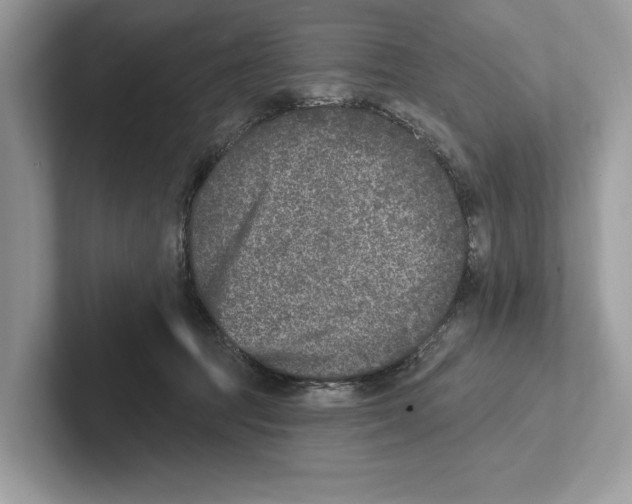 X0000100910369200807220955