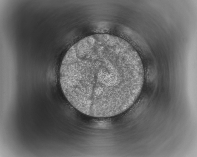 X0000100910370200807220955