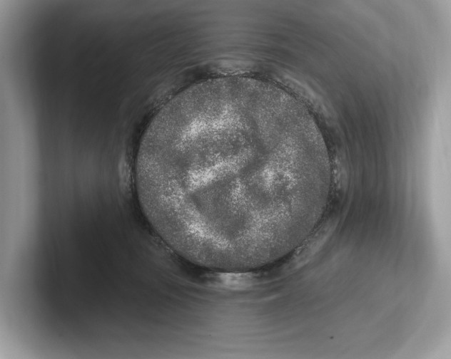 X0000100910371200807220955